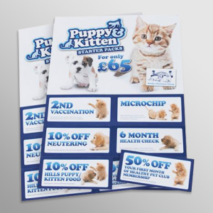 Corporate Laser Mailers