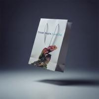 Classic Rope Handle Paper Bags