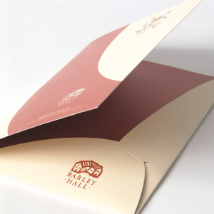 Budget Interlocking Presentation Folders