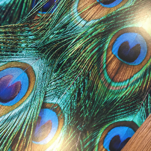 170gsm Gloss Leaflets