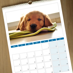 170gsm Silk 12 mth A4 Calendar