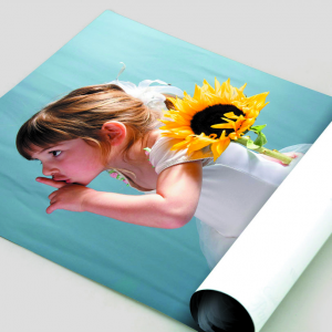 190gsm Satin Posters