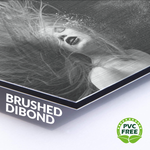 Brushed Aluminium Composite Signs - Shaped/Drilled