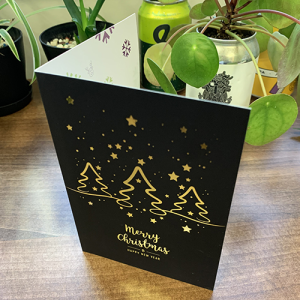 Digital Foiled Grand Suede Christmas Cards