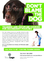  A6 Flyers by Templatecloud 