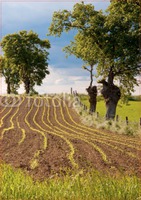 Photo Upload 20x30" with premium frame Photo Canvas by Templatecloud 