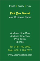 Business Card Pick Your Own Collection by Templatecloud