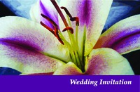  5.5" x 8.5" Invites by Templatecloud 