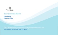 Car Wash 2" x 3.5" Business Cards by Templatecloud 