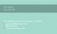Fashion 2" x 3.5" Business Cards by Templatecloud 
