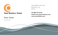 Physical Therapists 2" x 3.5" Business Cards by Templatecloud 