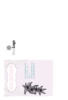  4" x 6" Postcards by Templatecloud
